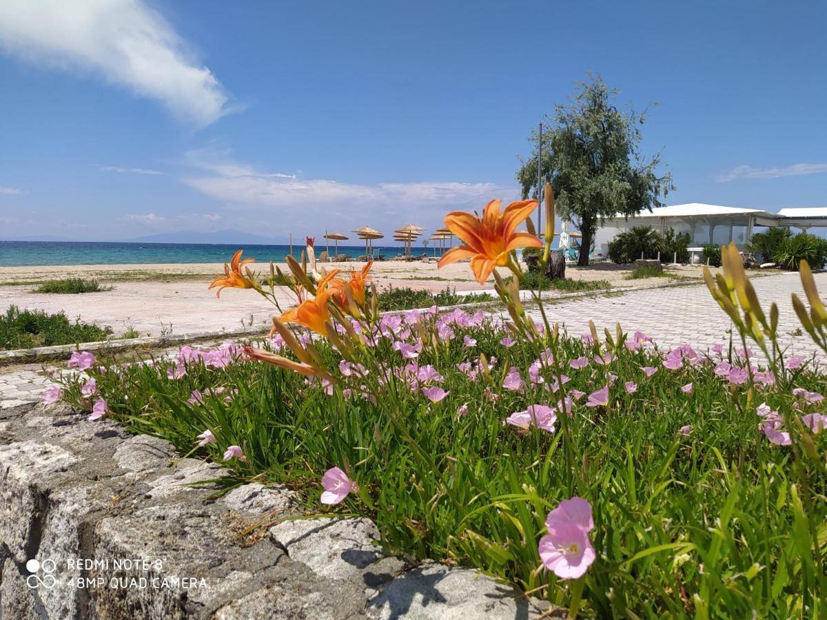 Hause Zorbas Aparthotel Paralia Dionysiou Ngoại thất bức ảnh