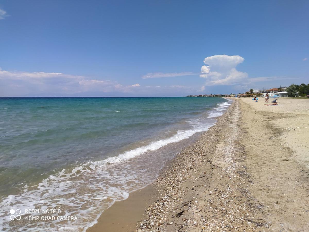 Hause Zorbas Aparthotel Paralia Dionysiou Ngoại thất bức ảnh
