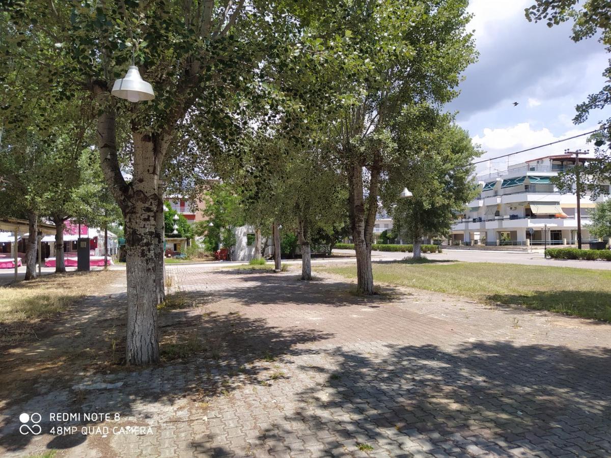 Hause Zorbas Aparthotel Paralia Dionysiou Ngoại thất bức ảnh
