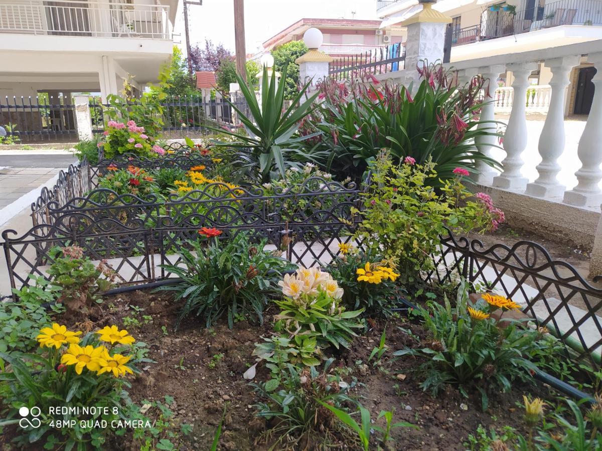 Hause Zorbas Aparthotel Paralia Dionysiou Ngoại thất bức ảnh